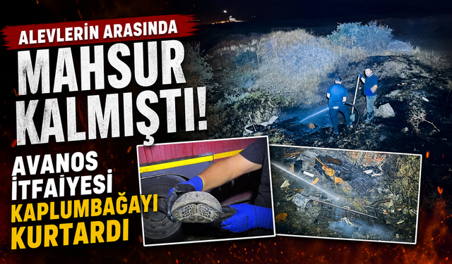 Avanos İtfaiyesi Kaplumbağayı Kurtardı