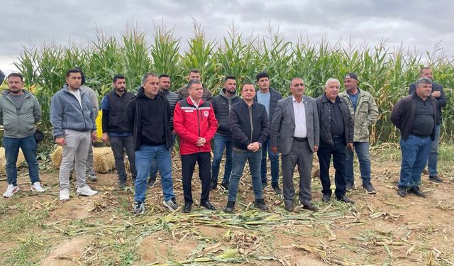 Nevşehir’de Silajlık Mısır Hasadı Başladı