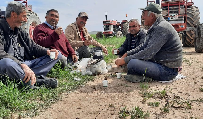 Nevşehir Akpınar köyünde tarlalar imece usulü sürülüyor