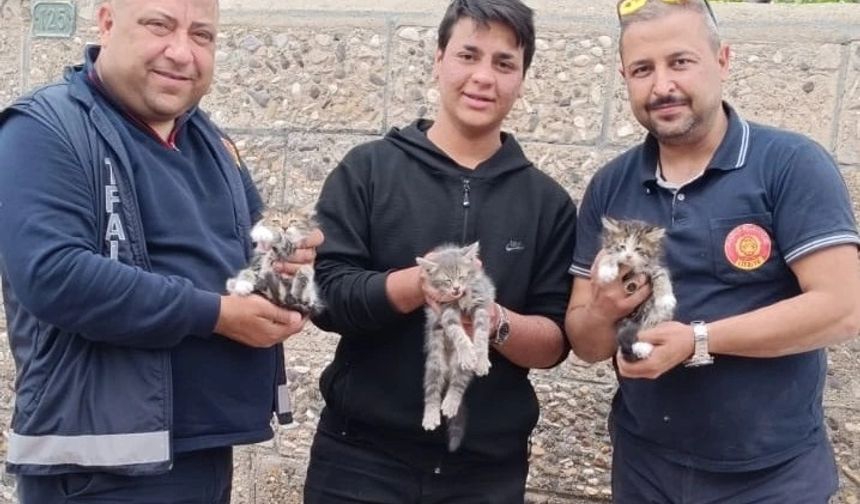 Avanos'ta çatıda mahsur kalan 3 yavru kedi kurtarıldı
