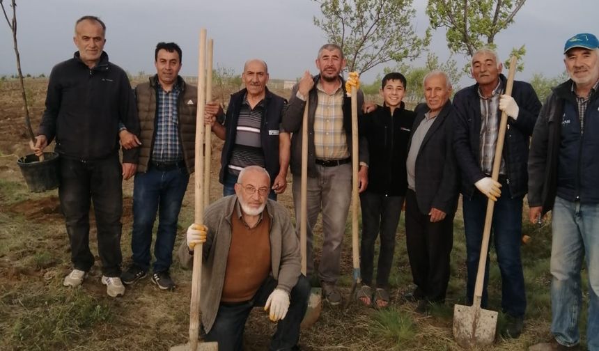 Nevşehir'de Kuyulutatlar köyü üzüm ve meyve fidanları ile donatılıyor