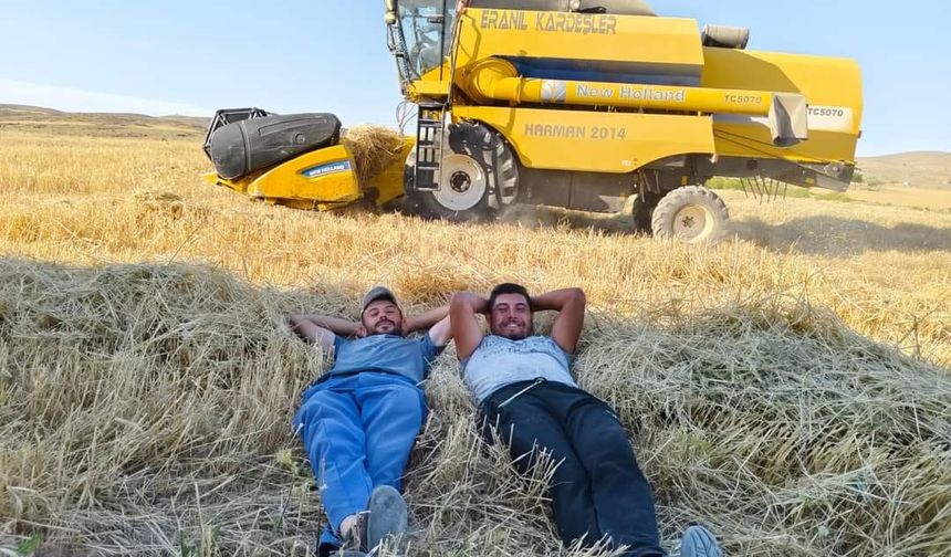 Nevşehir'de çiftçilerin bereketli hasadı devam ediyor
