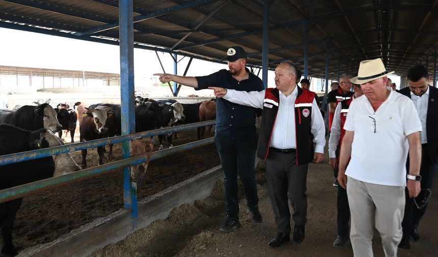 Vali Fidan, Karaova köyünde hayvancılık işletmesini inceledi
