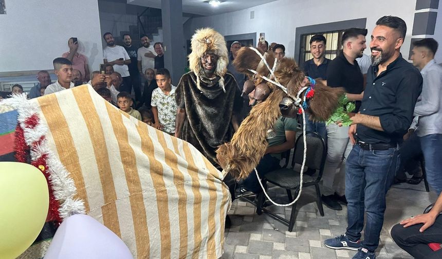 Nevşehir düğünlerinde 'deve oyunu' kültürü yaşatılıyor
