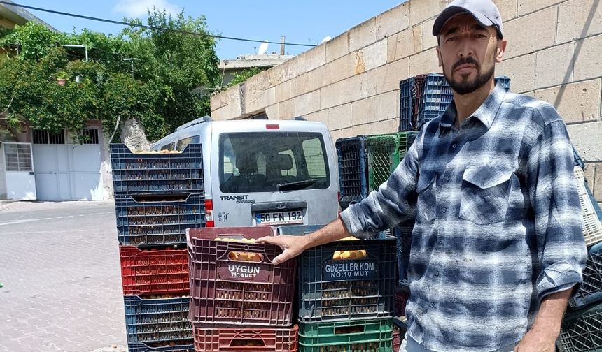 Nevşehir'de kayısı üreticilerinden fiyat tepkisi