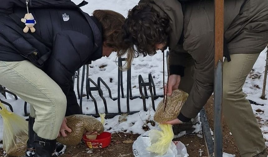 NEVÜ HAYKOR Soğuk Havalarda Can Dostları Unutmadı