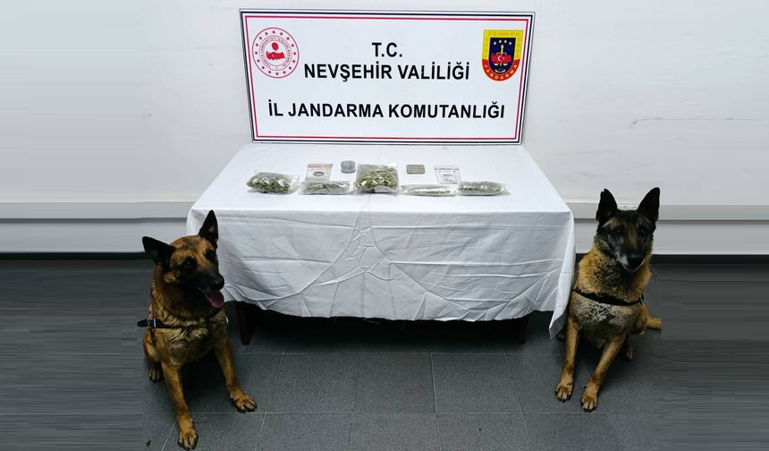 Nevşehir'de detektör köpek affetmedi; uyuşturucuları buldu