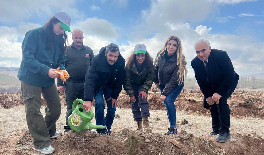 Hacıbektaş'ta bin 200 sedir fidanı toprakla buluştu