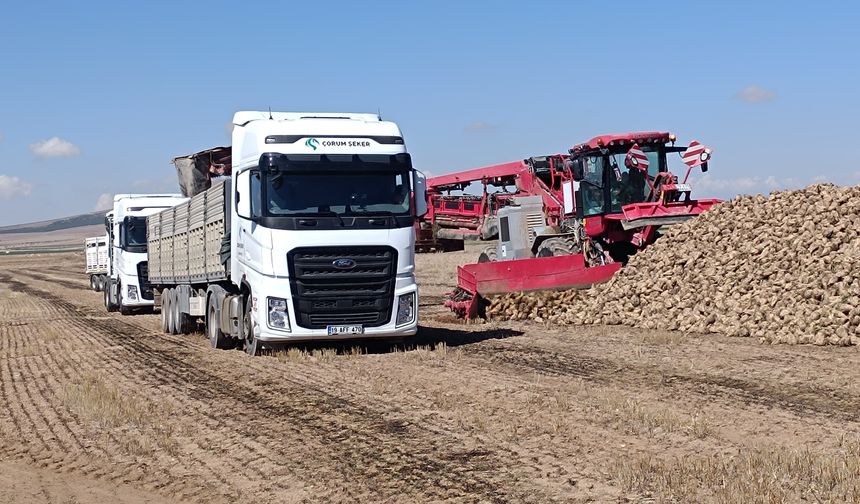 Safi Çorum Şeker Fabrikası Kozaklı Bölge Müdürlüğü’ne Teşekkür