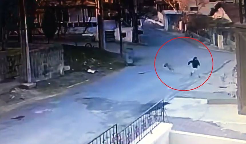 Ürgüp'te bisikletli çocuğu başıboş köpek kovaladı