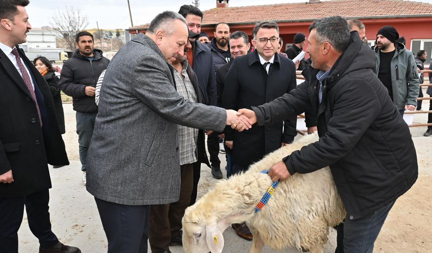 Nevşehir'de üreticilere 50 adet koç dağıtıldı