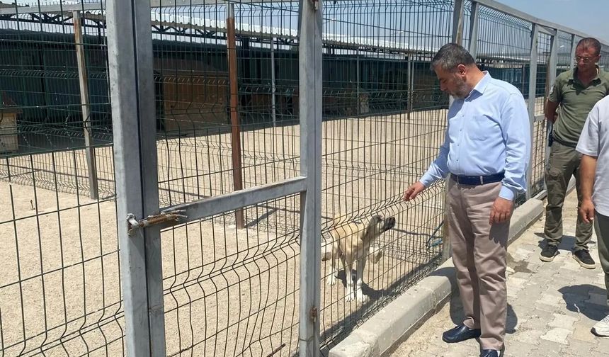 Nevşehir Milletvekili Özgün: "Bu konuda netiz ve asla taviz yok"