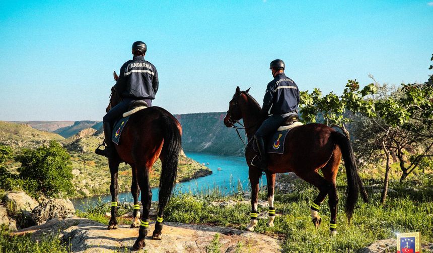 Nevşehir JAKEM'in Atları Gaziantep'te görev başında