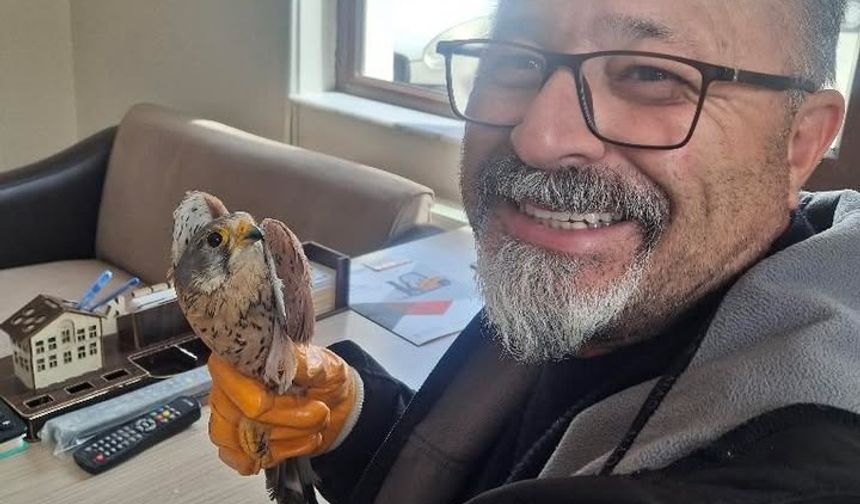 Nevşehir’de yaralı atmaca bulundu