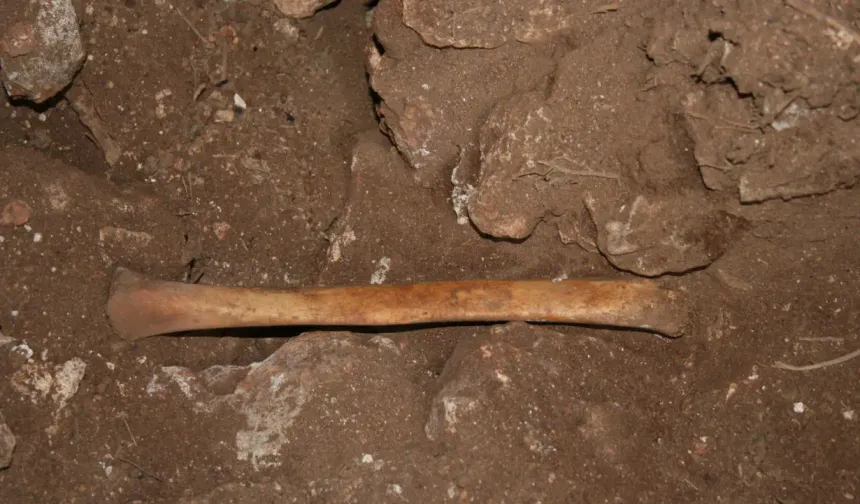 Kozaklı'da ki mağarada kemik kalıntıları bulundu