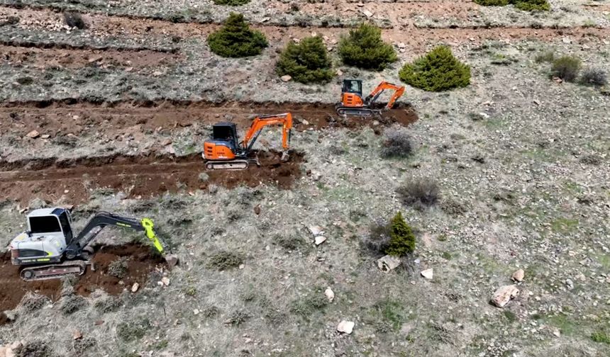 Nevşehir Boğaz köyünde yeni bir ormanlık alan oluşturuluyor