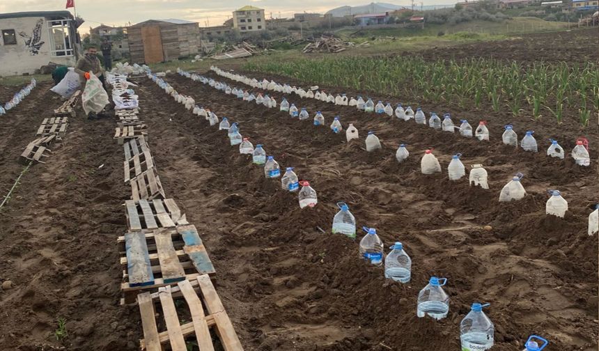 Nevşehir'de çiftçi sebze fidelerini pet şişelerle koruyor