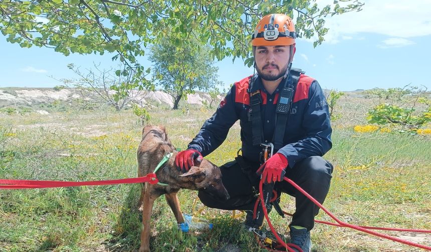 Uçhisar Güvercinlik Vadisinde mahsur kalan köpek kurtarıldı