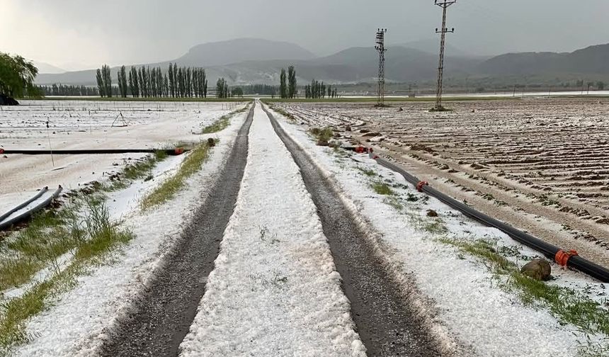 Nevşehir'de ekili tarlaları sel ve dolu böyle vurdu