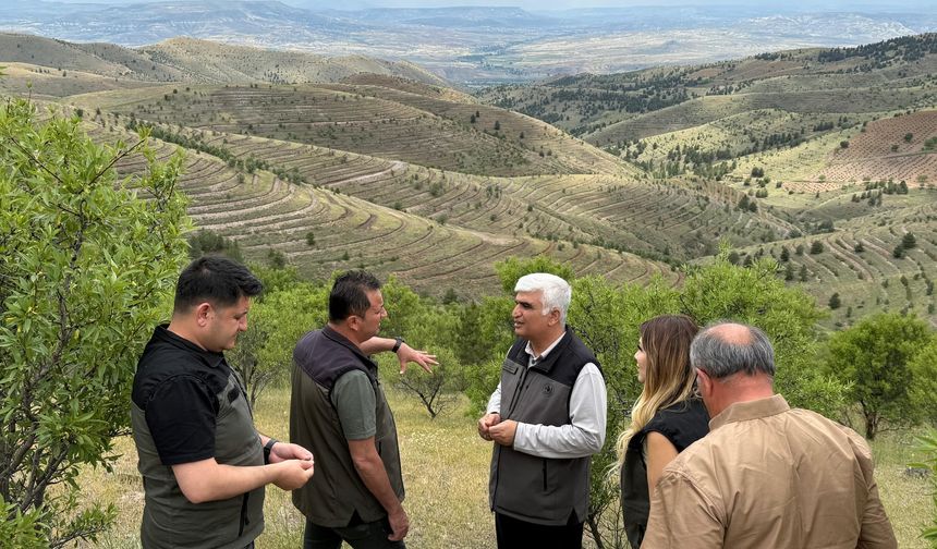 Kayseri Bölge Orman Bölge Müdürü Nevşehir'de