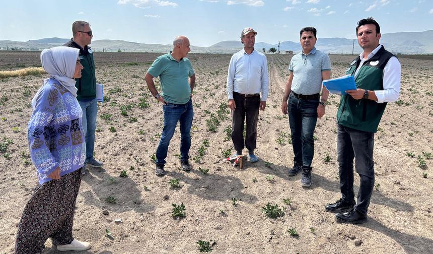 Nevşehir'de arazi toplulaştırması saha incelemesi