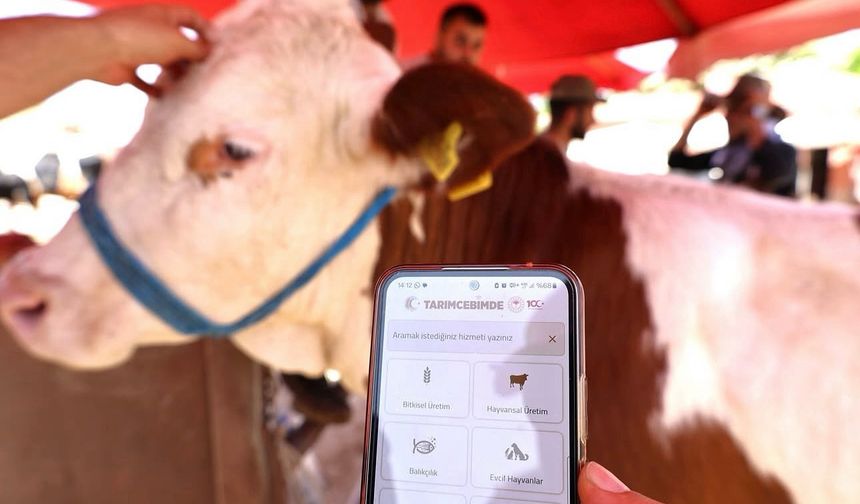 Nevşehir'de Kurban Satış Yerleri Belli Oldu
