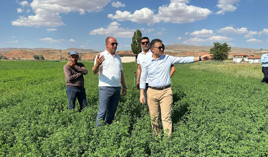 Avanos Kaymakamı Bilici’den Alibeyyeri Arazilerinde İnceleme