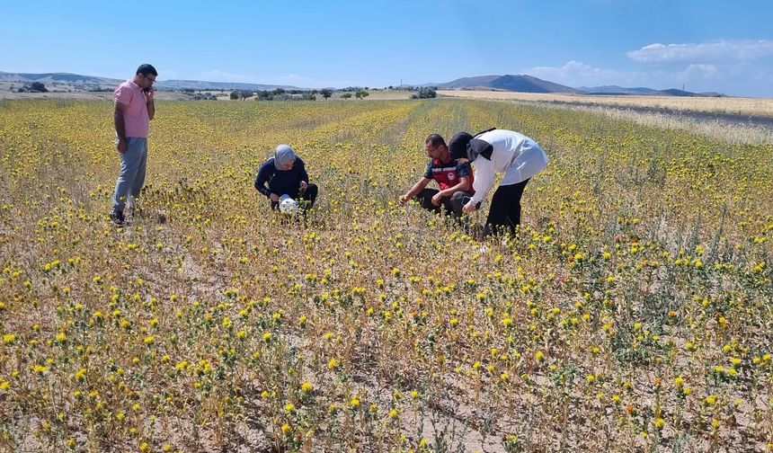 Nevşehir’de TAKE Projesiyle Aspirde Saha Denetimi