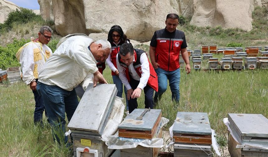 Nevşehir’de Arılı Kovan Sayımı Devam Ediyor