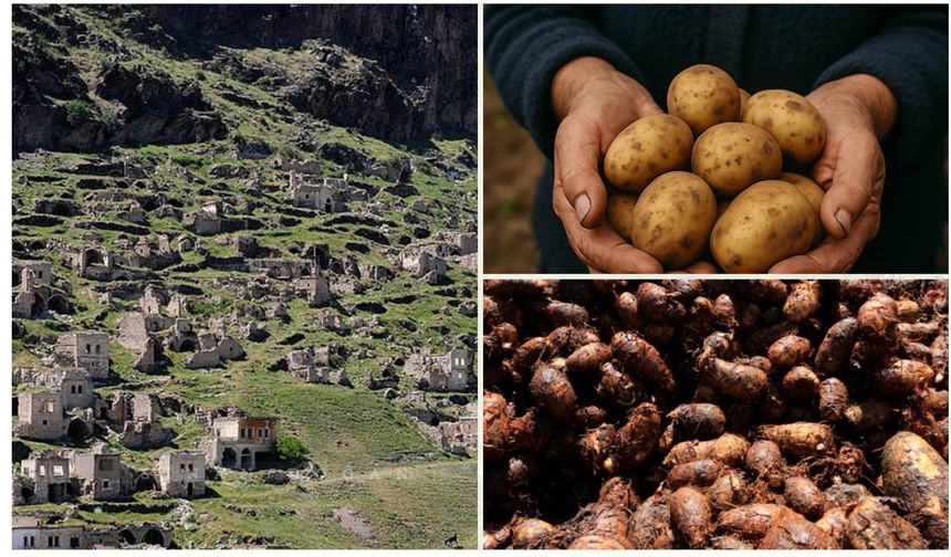 Nevşehir Valiliğinden Uyarı: Organik Atıkları Doğaya Atmayın!
