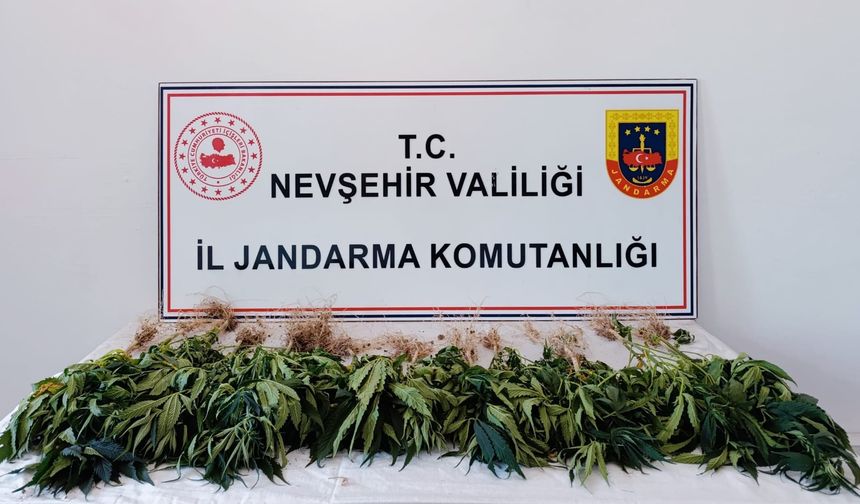 Nevşehir'in Kavak Beldesi’nde Skunk Operasyonu