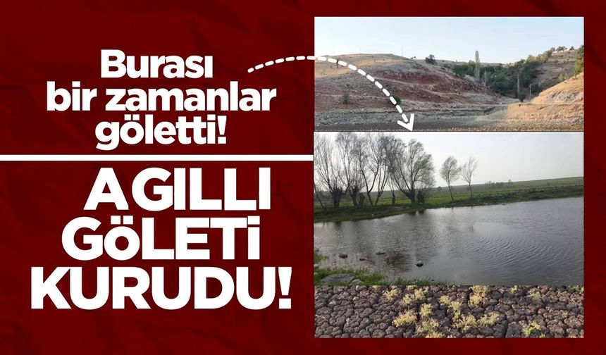 Nevşehir'de kuraklığın acı yüzü: Ağıllı Göleti kurudu