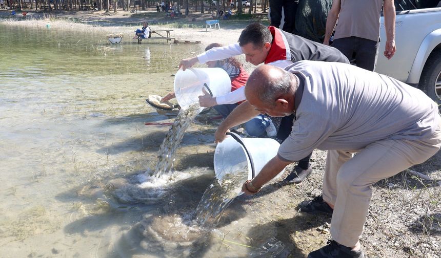Nevşehir’de 856 Bin 750 Yavru Sazan Balığı Sularla Buluştu