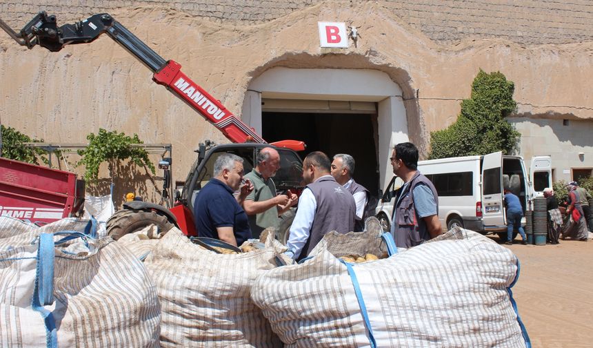 Nevşehir TKDK’dan Öz Güngör Tarım’a Ziyaret: Kayadan Oyma Patates Deposunda İnceleme