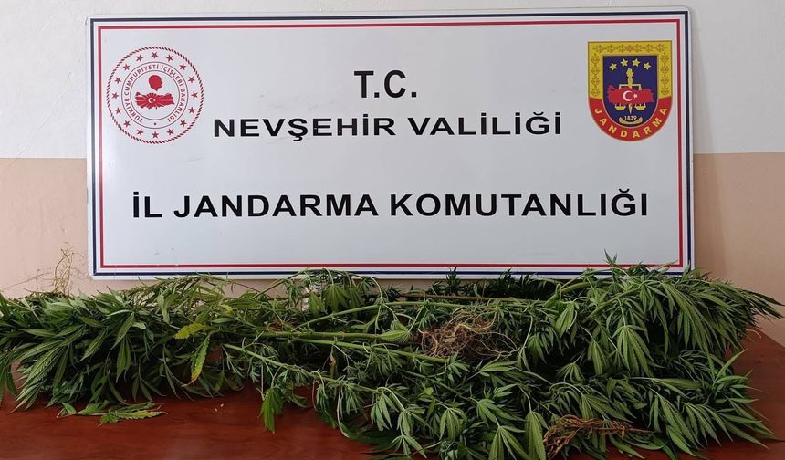 Nevşehir Jandarmasından Ortahisar’da Zehir Tacirlerine Darbe