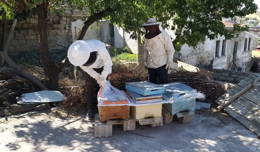 Nevşehir’de Arılı Kovan Tespit Çalışmaları Sürüyor