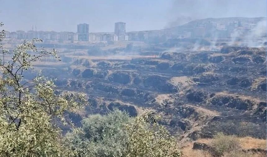 Nevşehir'de kontrol altına alınan yangın yeniden başladı