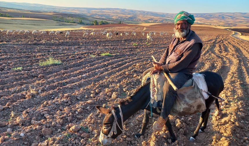 Eşek Sırtında Afgan Mehmet’in Nevşehir'de Çobanlık Hikâyesi