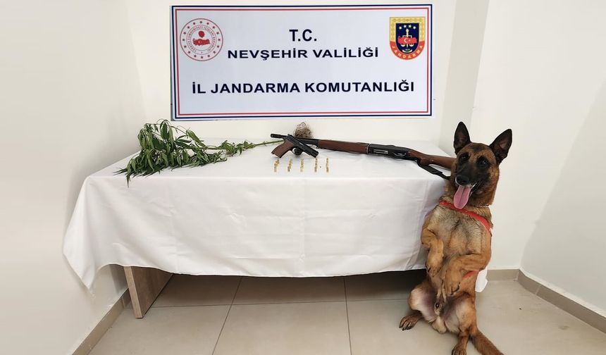 Nevşehir'de Silah ve Kenevir Operasyonu