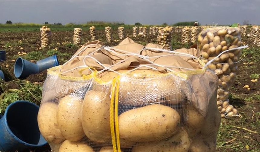 Patates ve Soğan Üreticilerine Sevindirici Haber; 'İhracat Desteği'