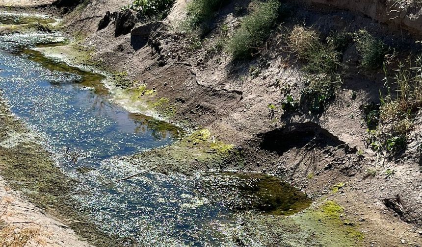 Nevşehir’in Yeşilli Köyünde Mahsuller Susuzluktan Kuruyor