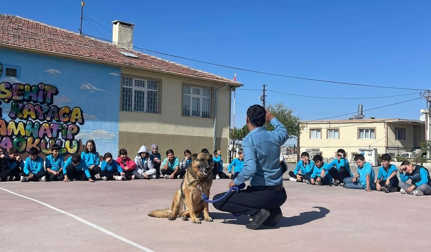 NEVÜ Öğrencilerinden Anlamlı Etkinlik: “Bir Kap Su, Bir Kap Mama, Biraz Sevgi”