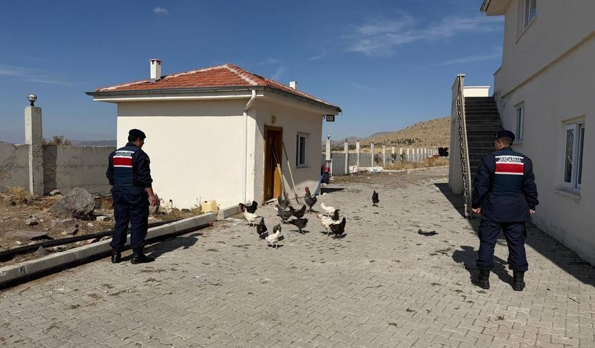 Ürgüp’te kümes hırsızı jandarmadan kaçamadı!