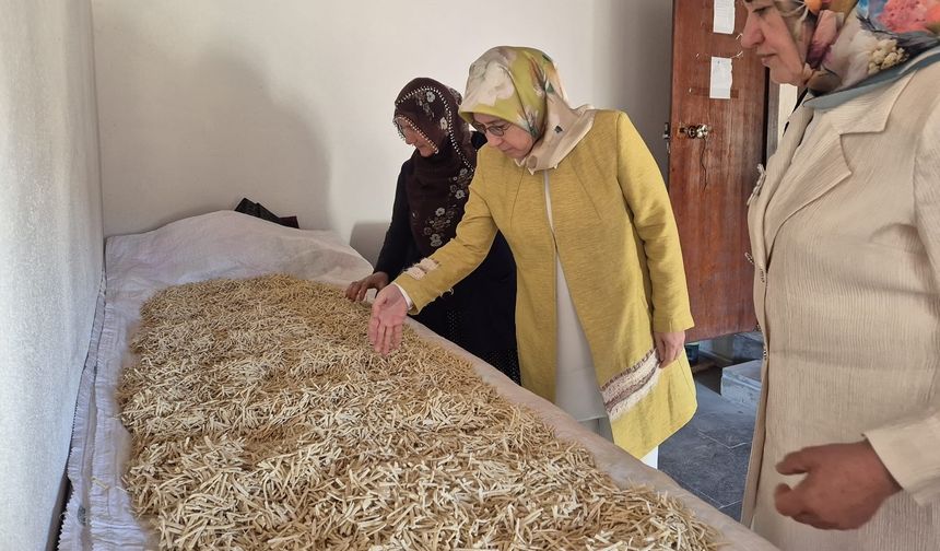 Tatlarin Kadın Kooperatifi’ne Protokol Desteği