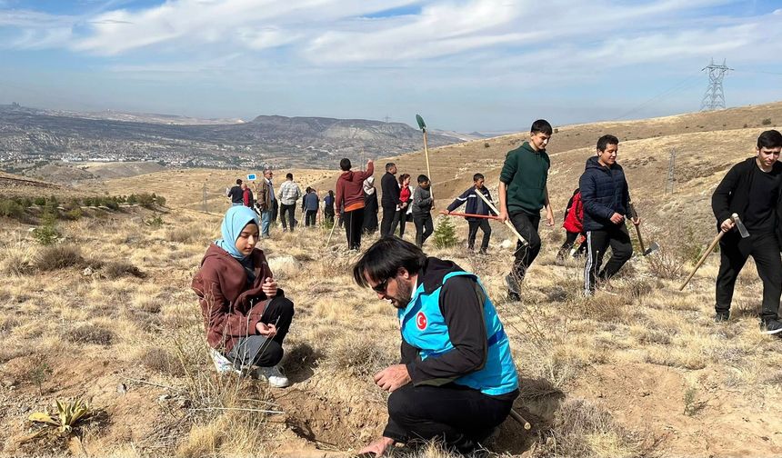 Ürgüp'te Topuz Dağı Yeşilleniyor...