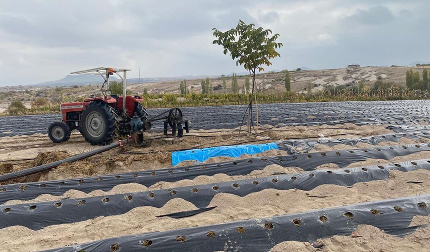 Nevşehir’de “Çilek Yetiştiriciliği Projesi” Başladı