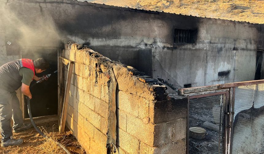 Avanos’ta bağ evinde çıkan yangın söndürüldü