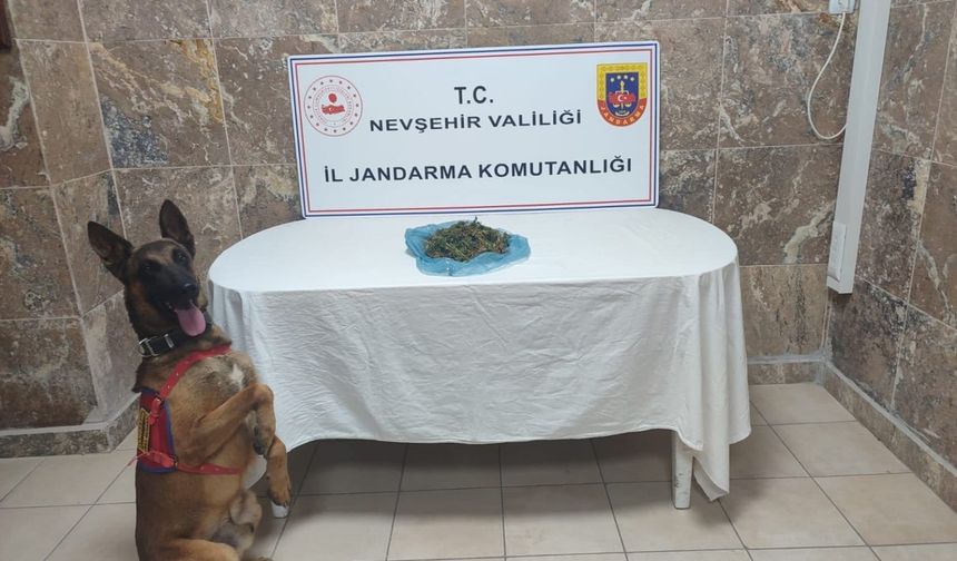 Nevşehir Jandarmasından Ürgüp’te Başarılı Operasyon