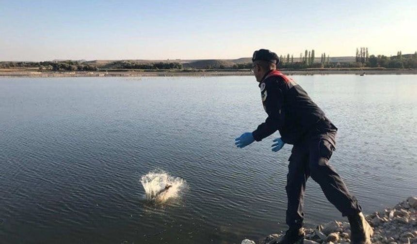 Nevşehir Kızılırmak’ta 2,5 km Ağ İmha Edildi