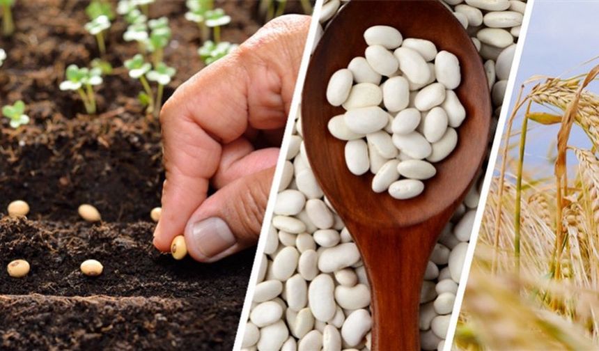 Nevşehir’de 76,4 Milyon Liralık Tohum ve Fidan Ödemeleri Başladı